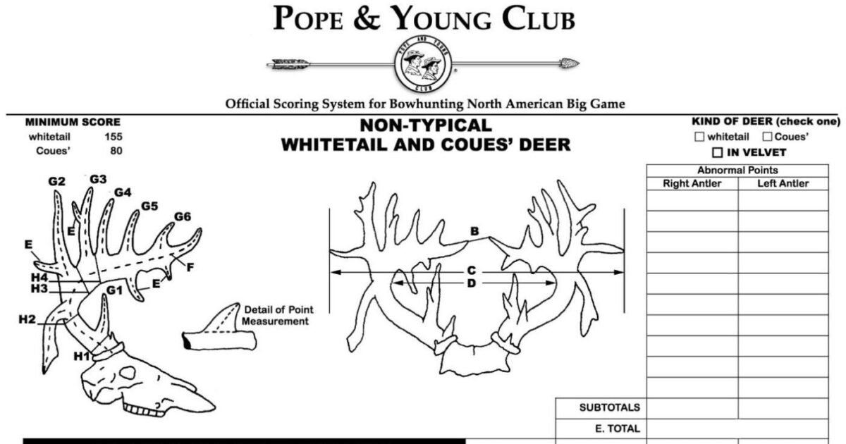 pope-and-young-club-announces-entry-fee-increase-archery-business