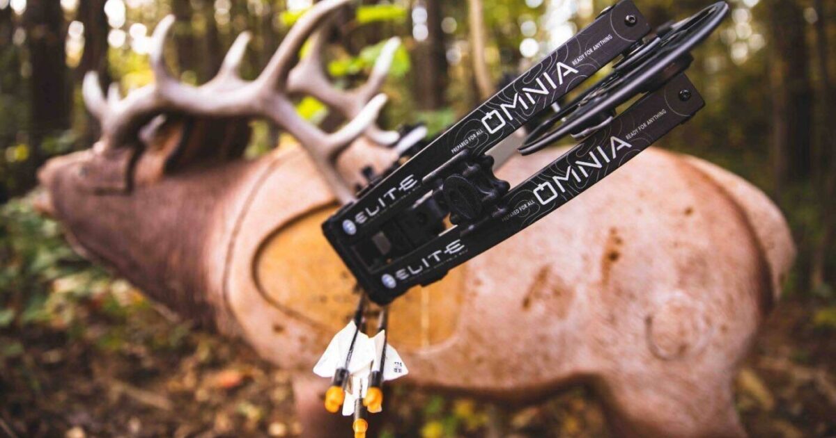 Bow Review Video 2023 Elite Omnia Archery Business